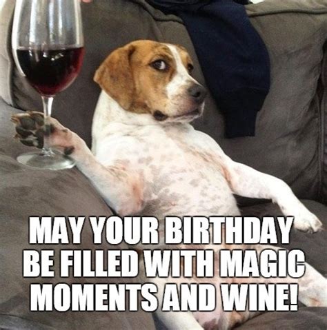 birthday dog wine